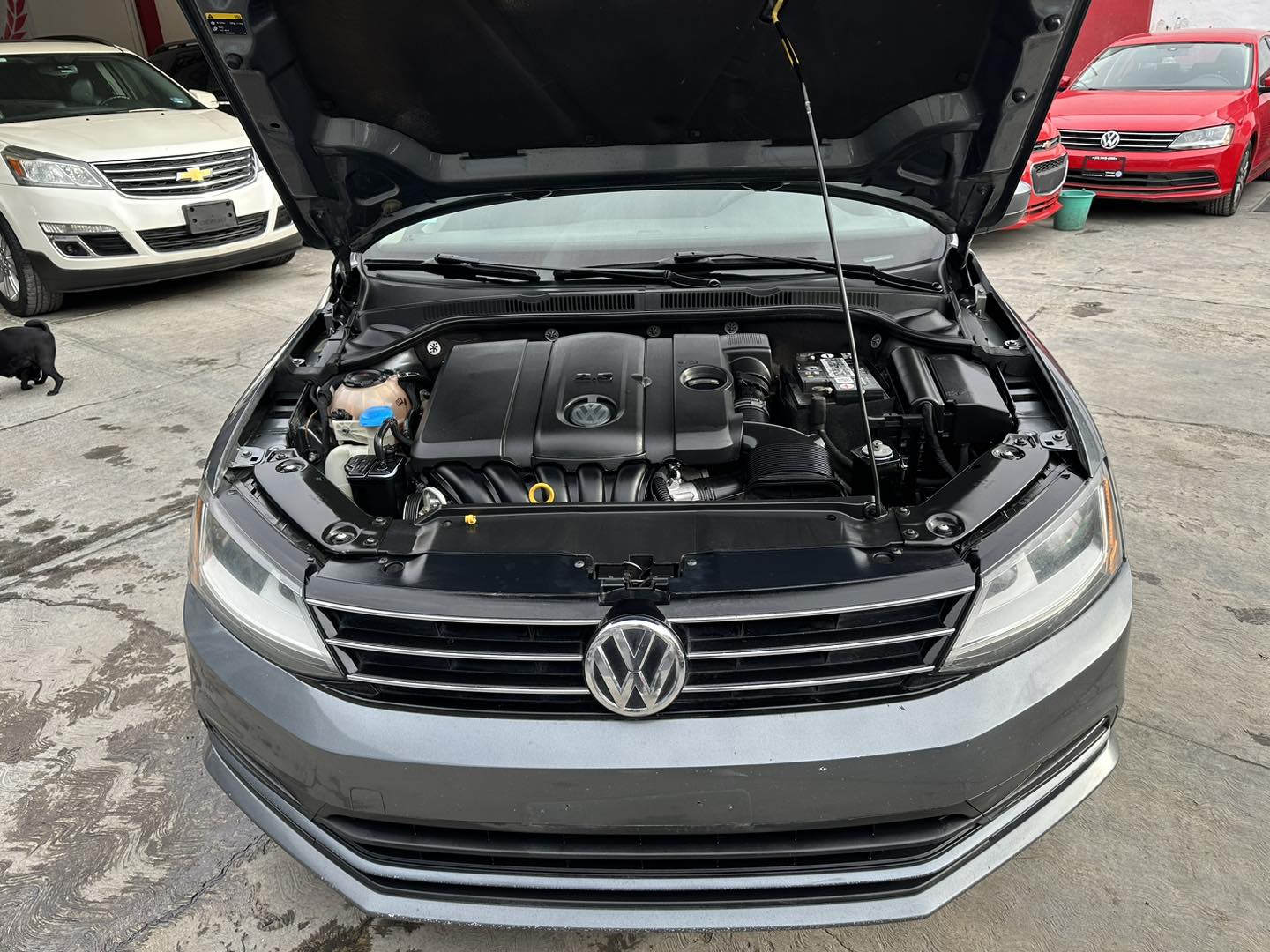 JETTA MK VI - 2018